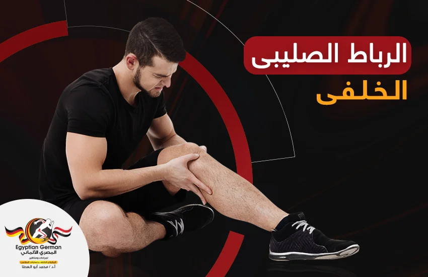 الرباط الصليبي الخلفي